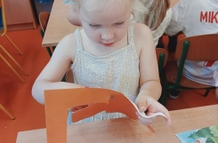 IMG20240618091151 
